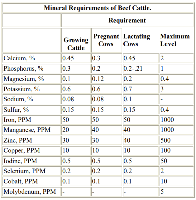 Choose the Best Cattle Mineral Supplementation for Your Operation Drovers